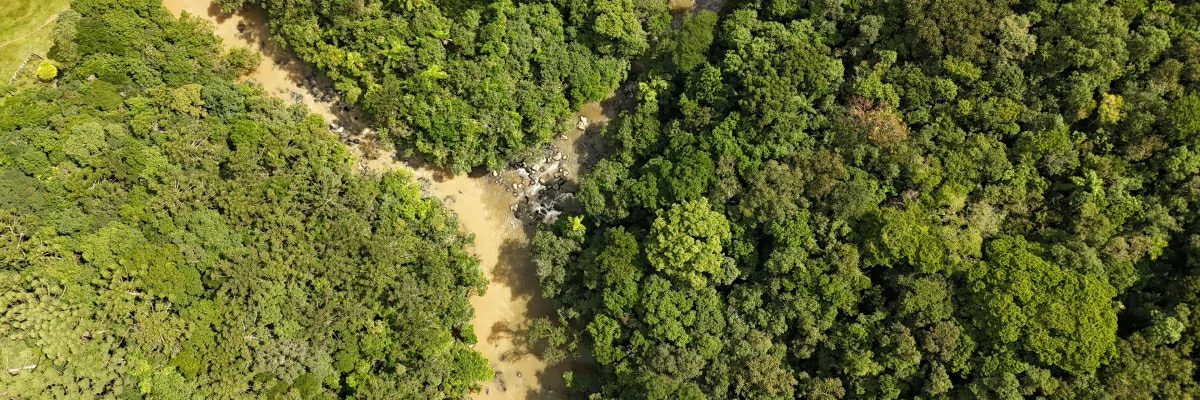 Águas do Ribeira – Da Nascente à Foz – Documentário Inédito Percorre Mais de 1300 Km e Revela Contrastes e Grandezas do Último Rio Livre do Sudeste
