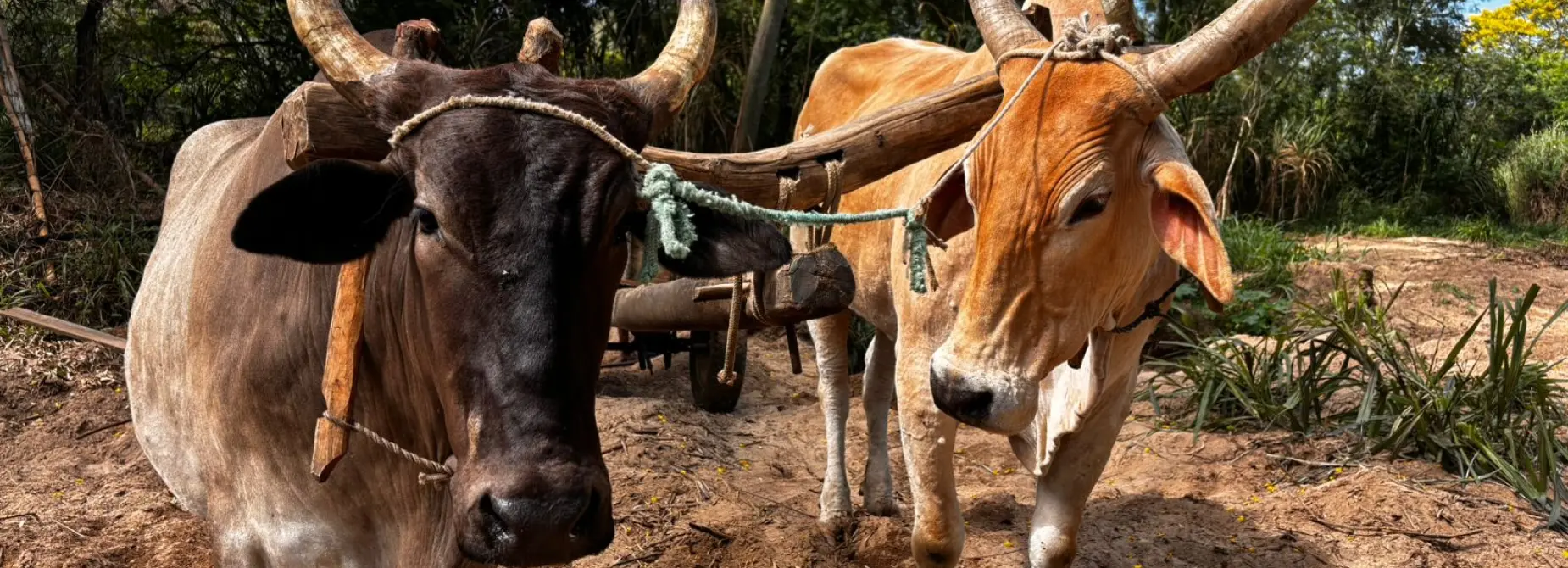 Educação Ambiental, Climática e Territorial em Itaóca
