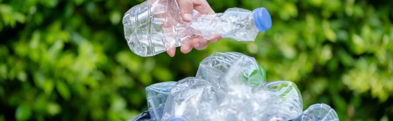 Nova Linha de Camisetas Ecológicas da Preservalle: Descubra as Riquezas do Vale do Ribeira