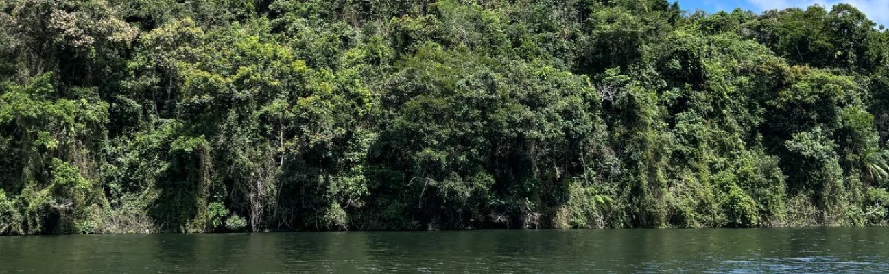 PreserValle Apresenta Resultados e Fortalece a Metodologia do Pertencimento na 22ª Semana da Água em Registro-SP