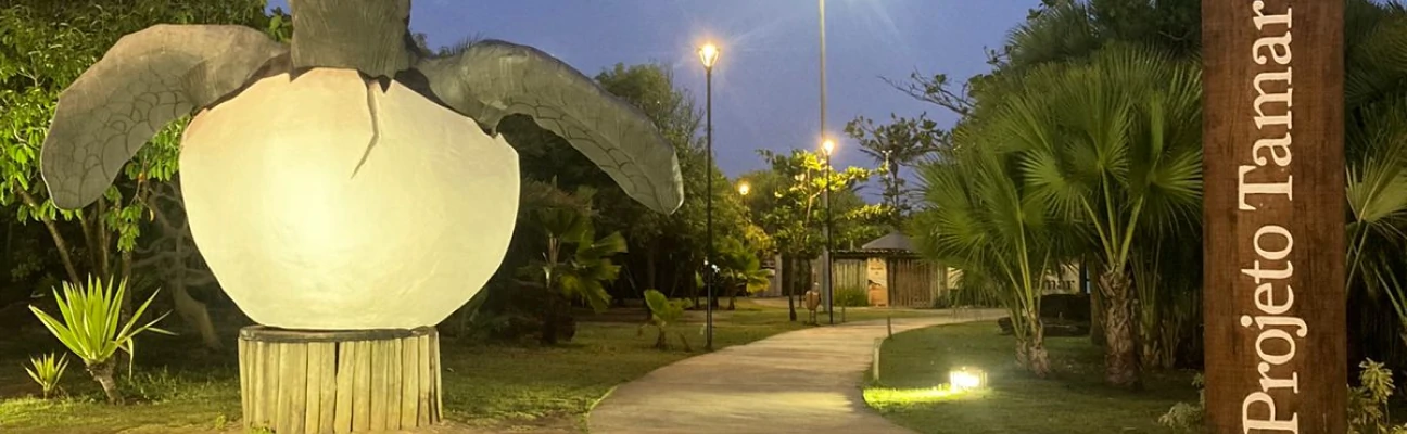 PreserValle Visita Projeto Tamar no Nordeste em Aracaju/SE