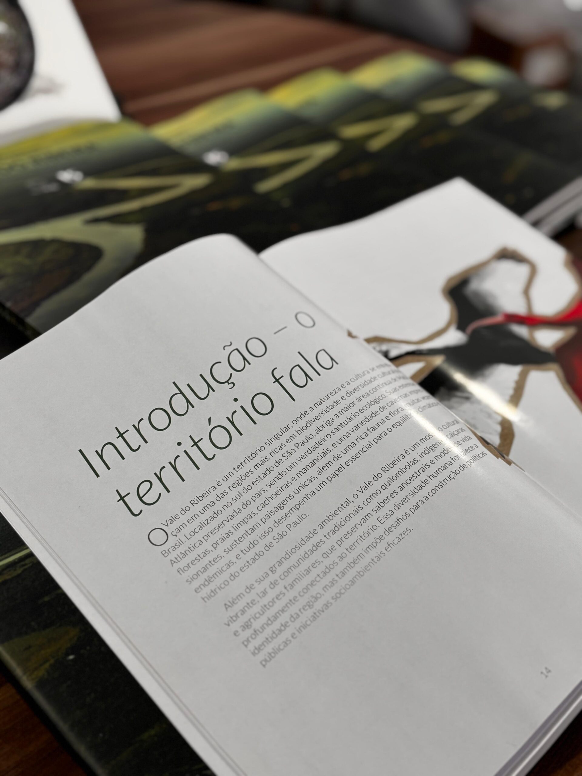 PreserValle entrega obra sobre Educação Ambiental, Climática e Territorial no Vale do Ribeira a órgãos federais em Brasília