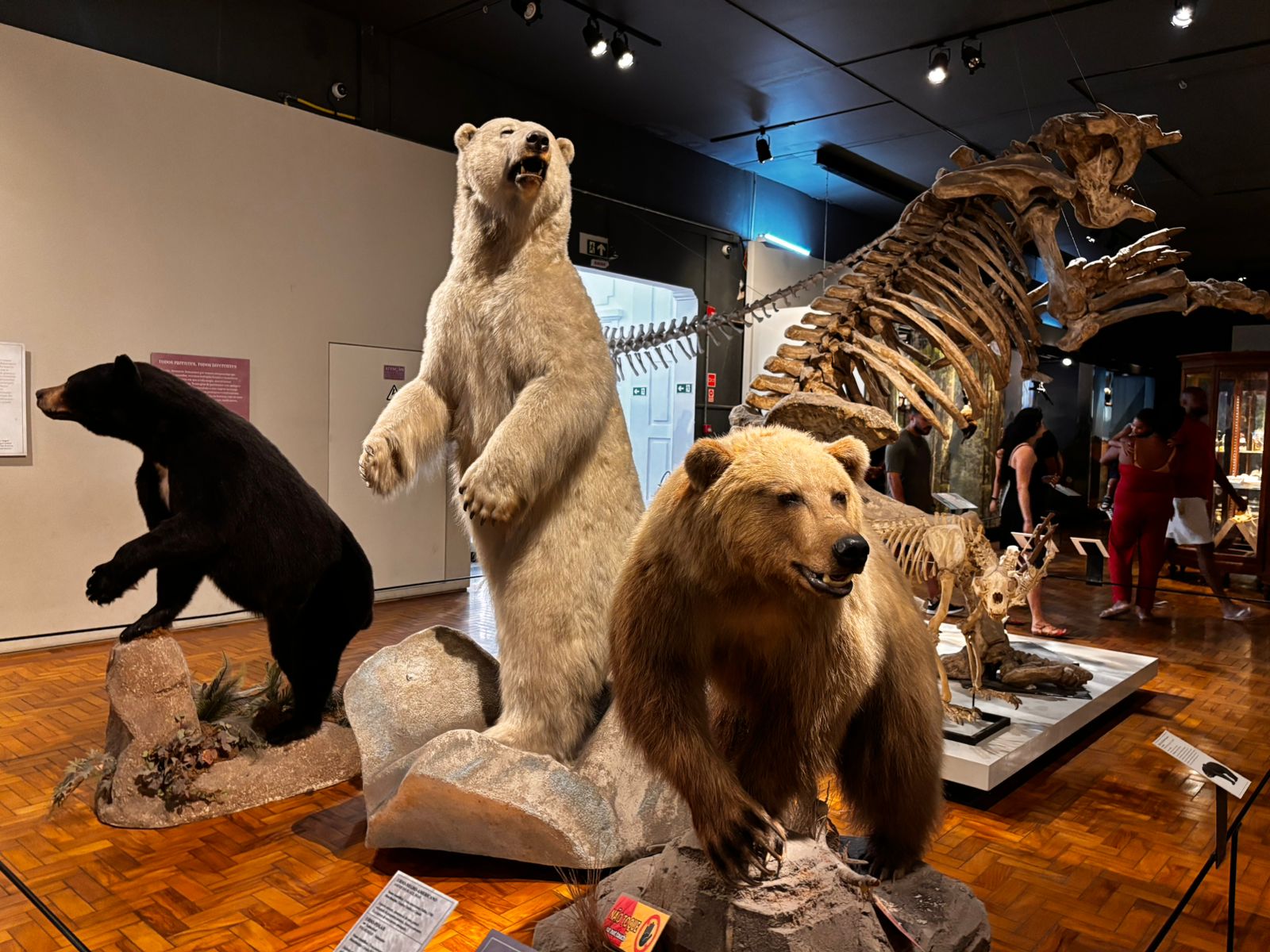 Documentário “Águas do Ribeira” é exibido no Museu de Zoologia da USP